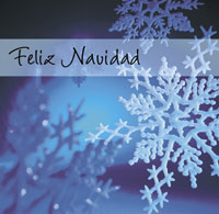 (Tarjeta) Copo de Nieve (Rhythm of Christmas CD en Ingles)