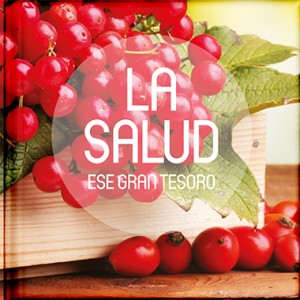 Ese Gran Tesoro - La Salud (Pasta Dura) - Click Image to Close